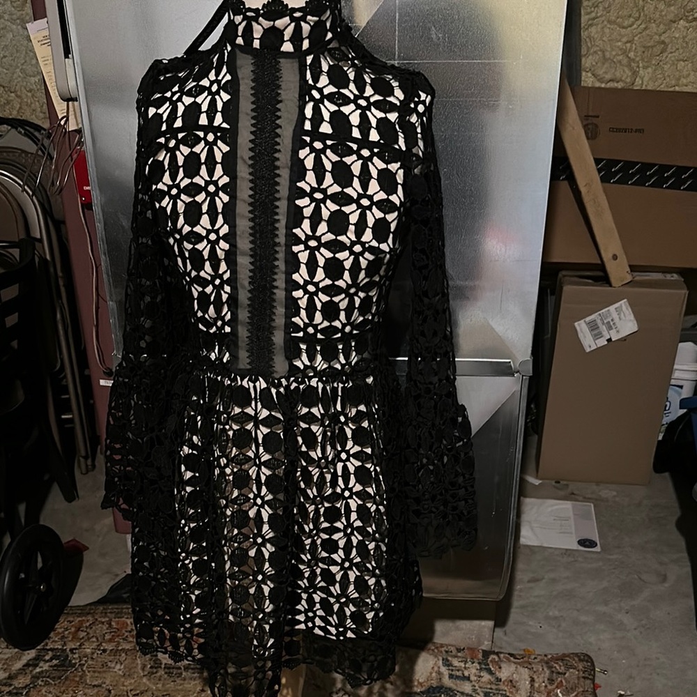 Chic Black Lace Long Sleeve Dress